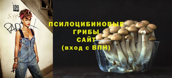 бошки Приозерск