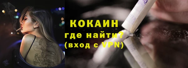 твердый Арсеньев