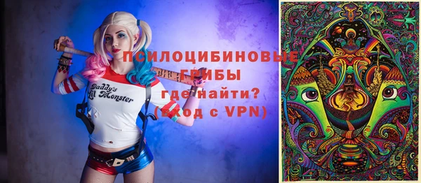 твердый Арсеньев