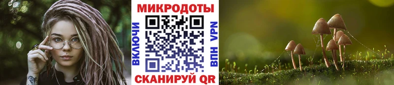 Галлюциногенные грибы Psilocybe купить цена Полысаево
